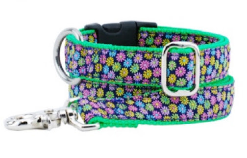 Margarita hot sale dog collar